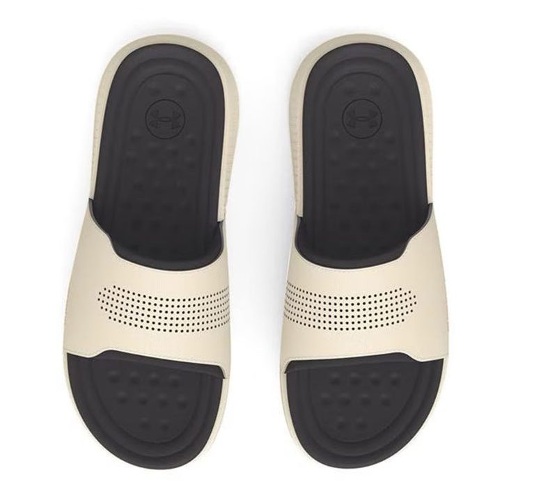 ansa elevate slides